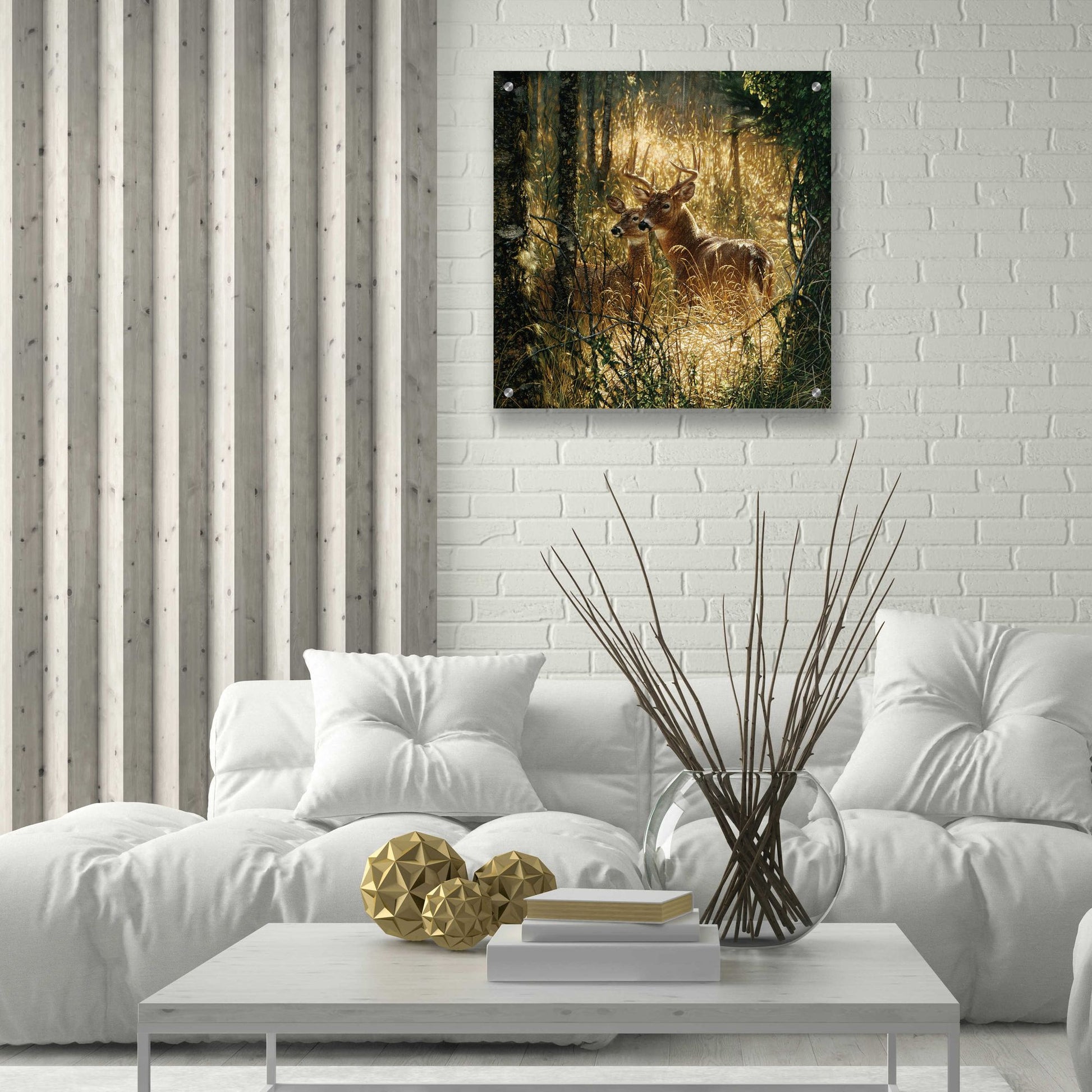 Epic Art 'A Golden Moment' by Collin Bogle Acrylic Glass Wall Art,24x24