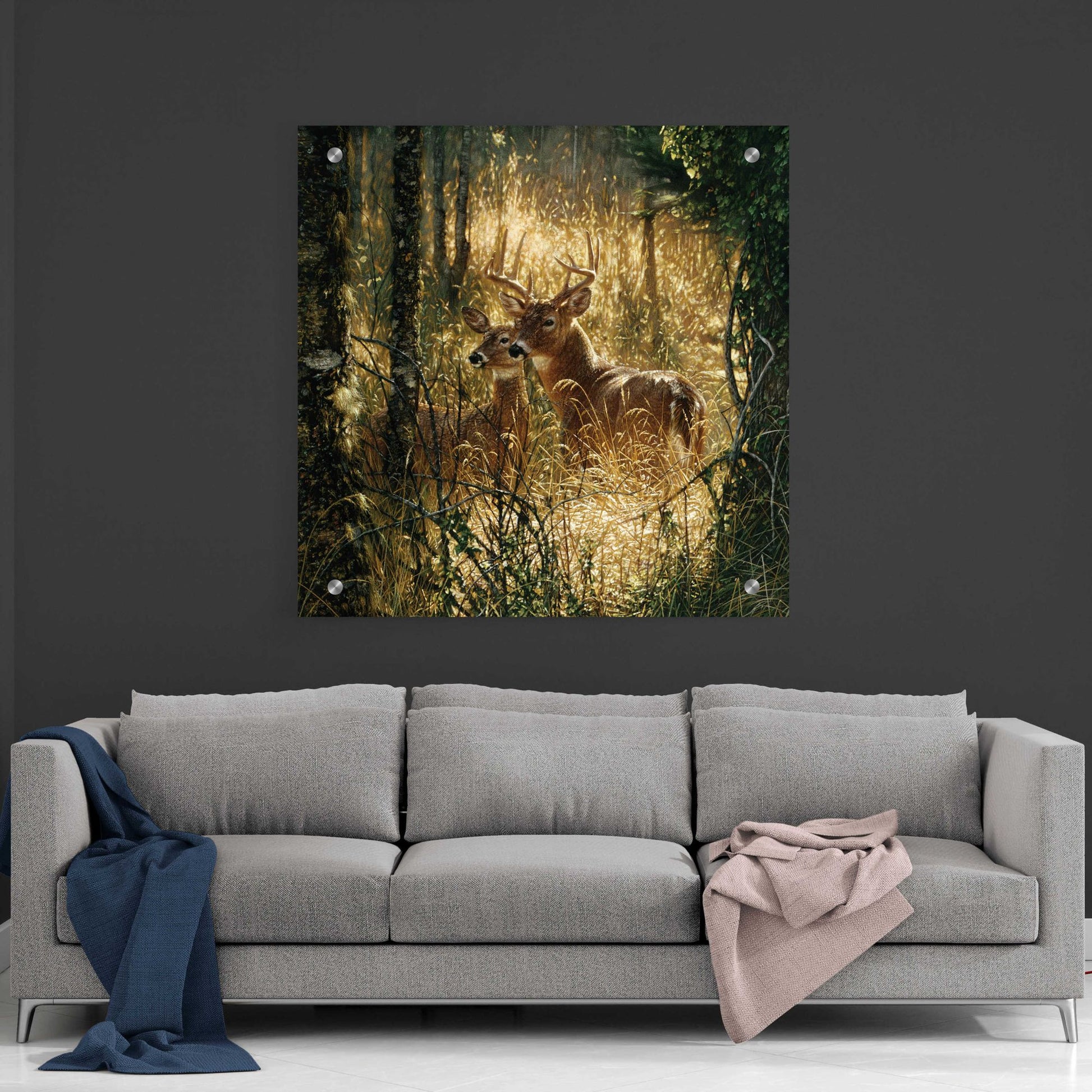 Epic Art 'A Golden Moment' by Collin Bogle Acrylic Glass Wall Art,36x36