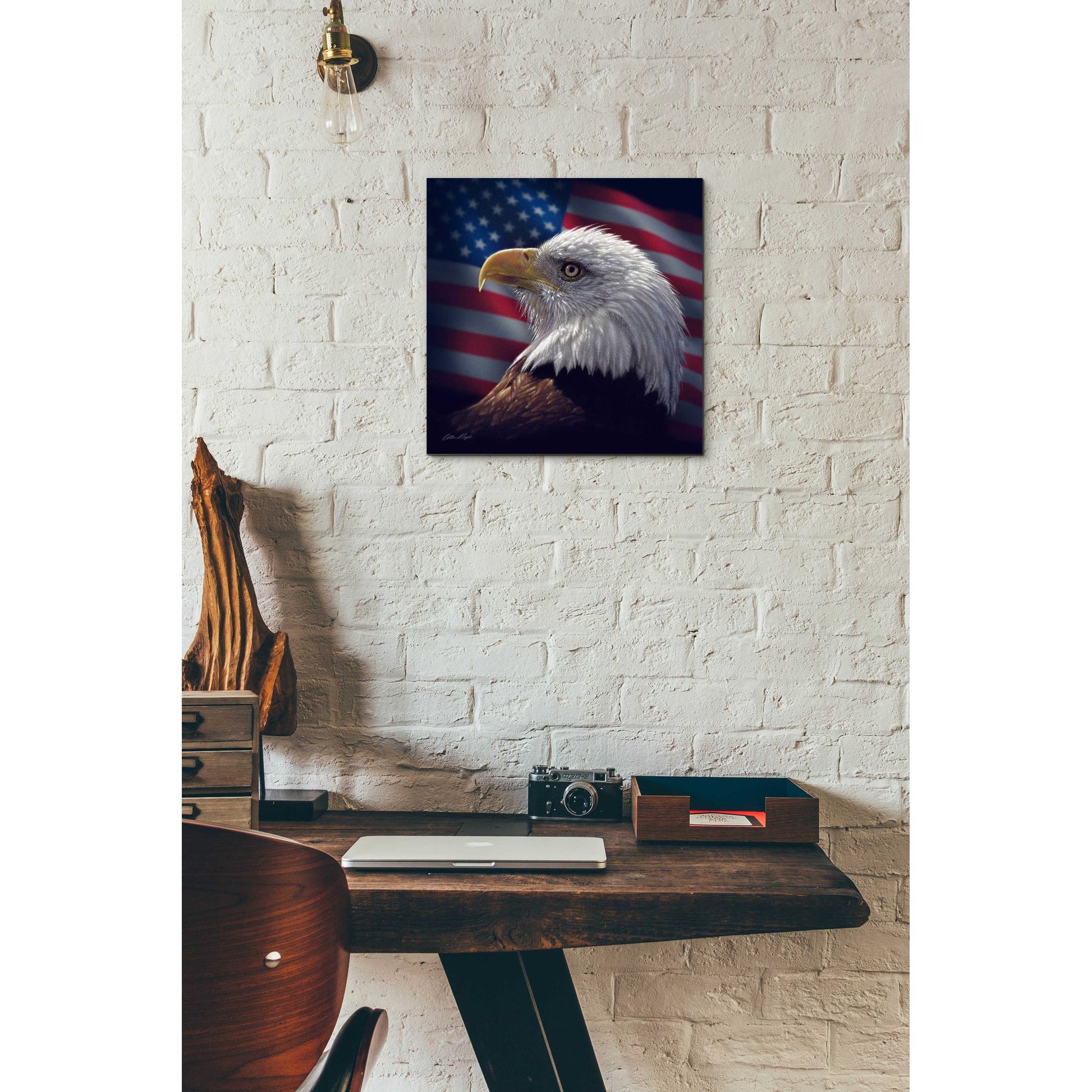 Epic Art 'American Bald Eagle' by Collin Bogle Acrylic Glass Wall Art,12x12