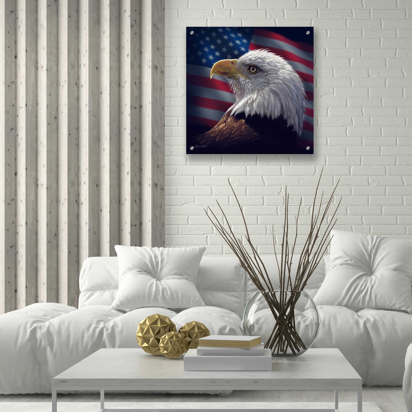 Epic Art 'American Bald Eagle' by Collin Bogle Acrylic Glass Wall Art,24x24