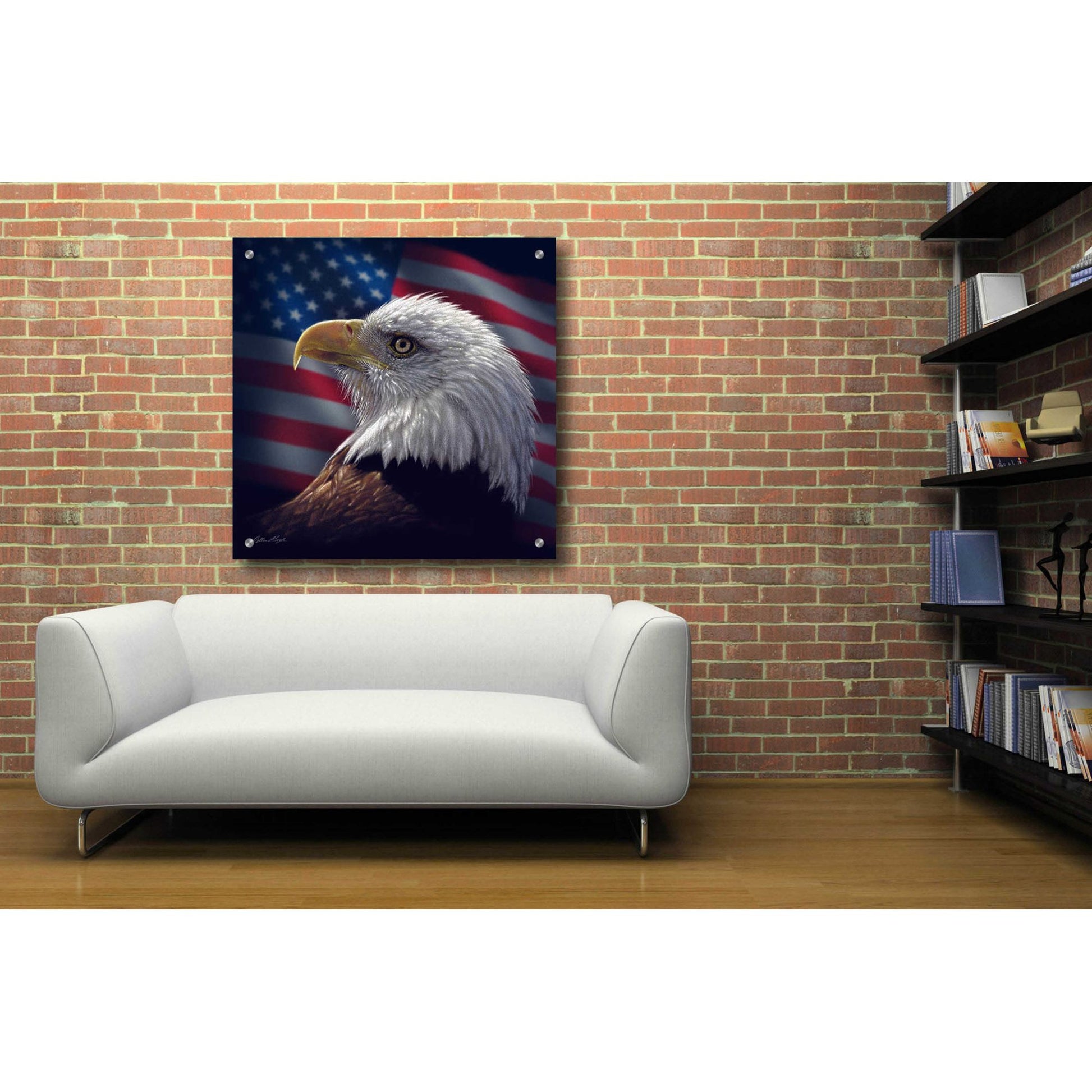 Epic Art 'American Bald Eagle' by Collin Bogle Acrylic Glass Wall Art,36x36