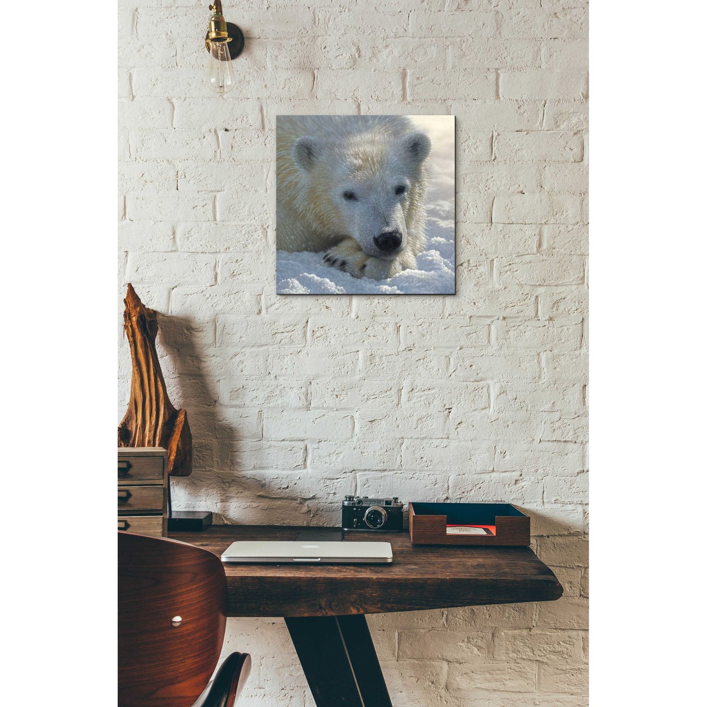 Epic Art 'Polar Bear Cub' by Collin Bogle Acrylic Glass Wall Art,12x12