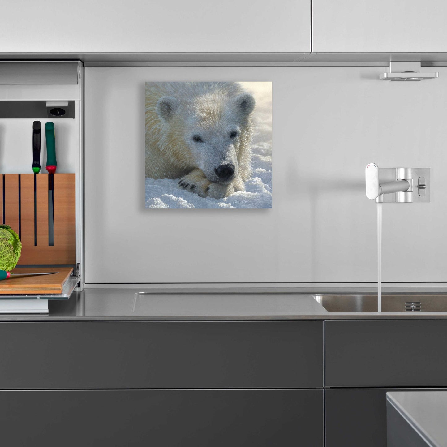 Epic Art 'Polar Bear Cub' by Collin Bogle Acrylic Glass Wall Art,12x12