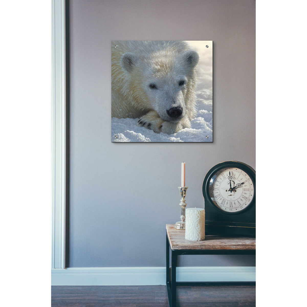 Epic Art 'Polar Bear Cub' by Collin Bogle Acrylic Glass Wall Art,24x24