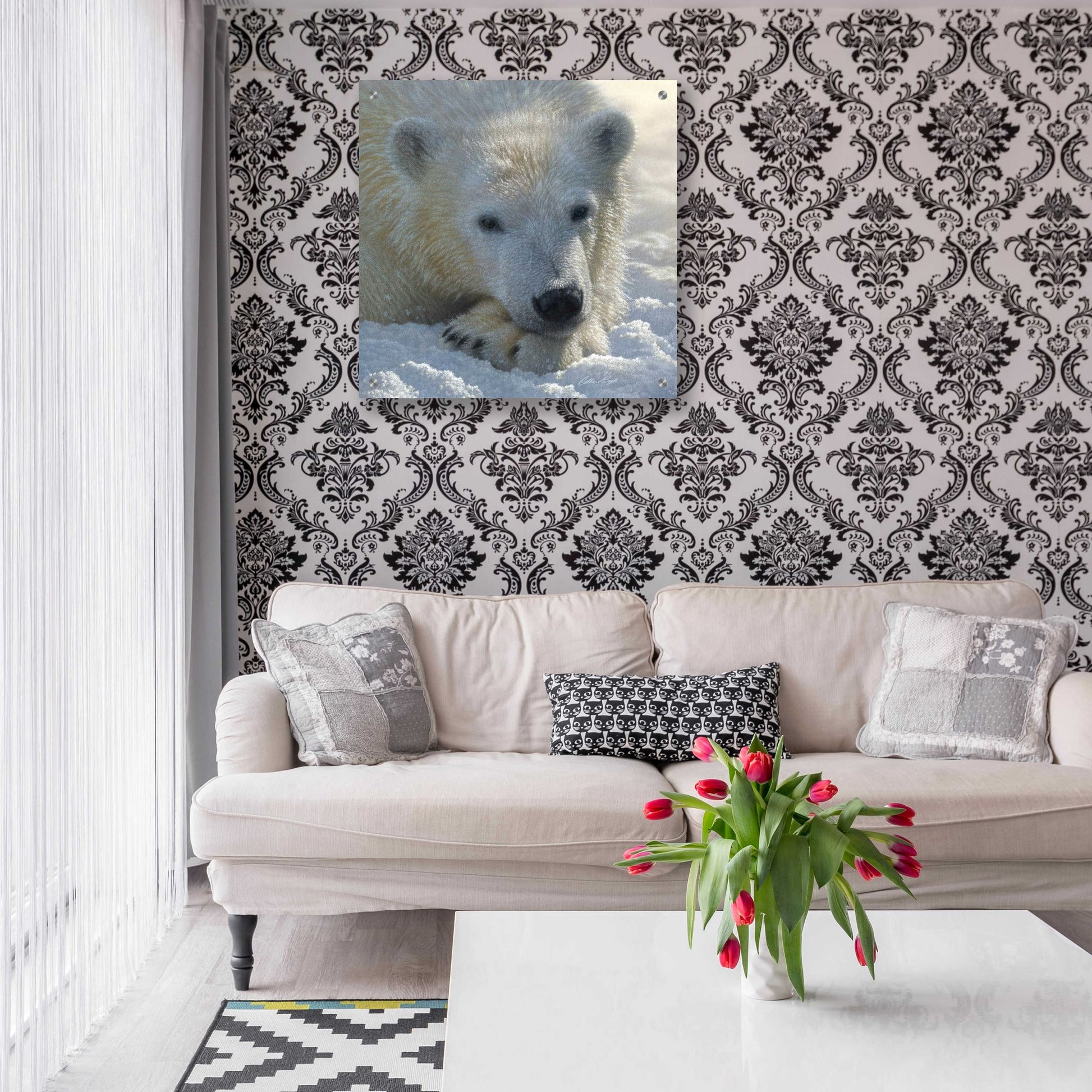 Epic Art 'Polar Bear Cub' by Collin Bogle Acrylic Glass Wall Art,24x24