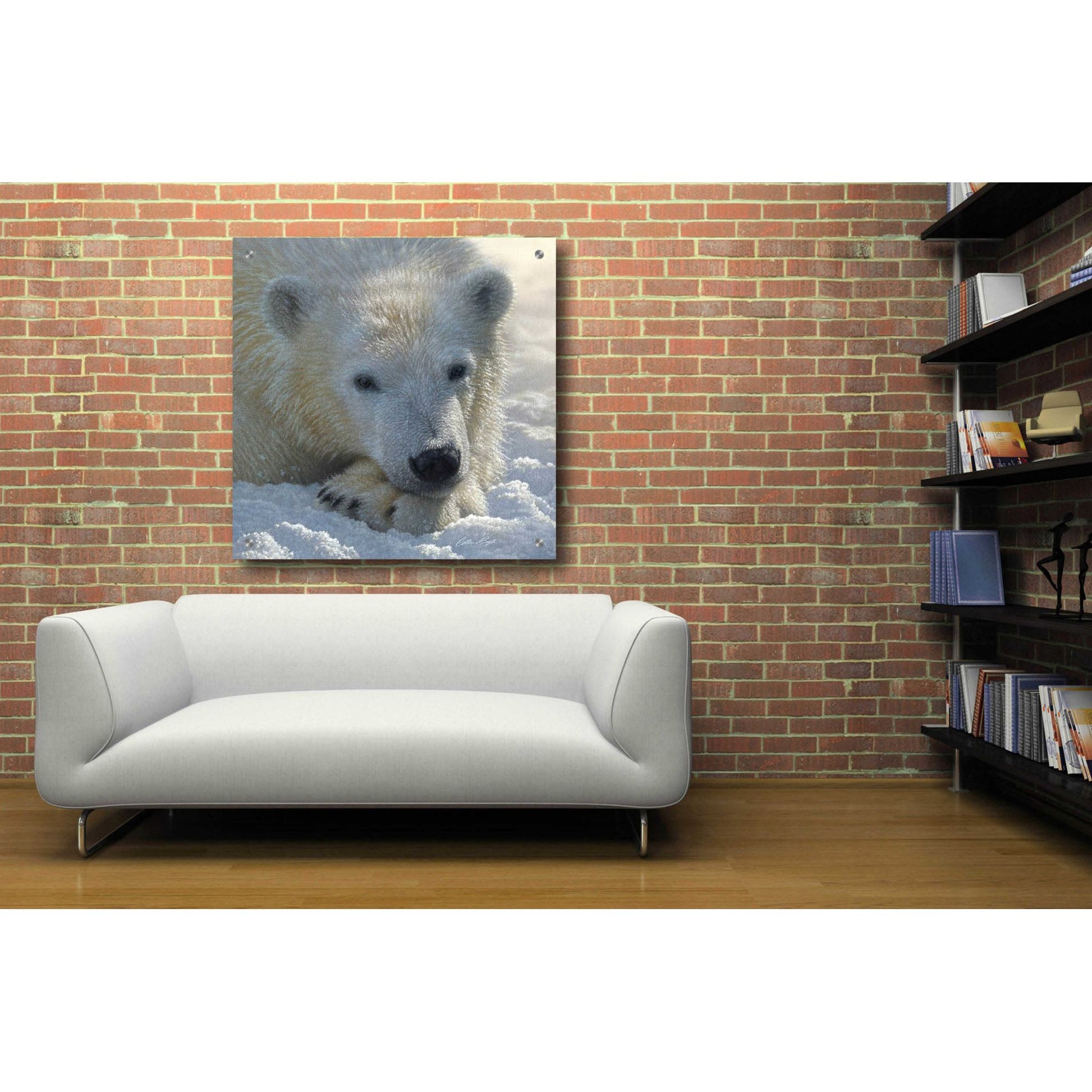 Epic Art 'Polar Bear Cub' by Collin Bogle Acrylic Glass Wall Art,36x36