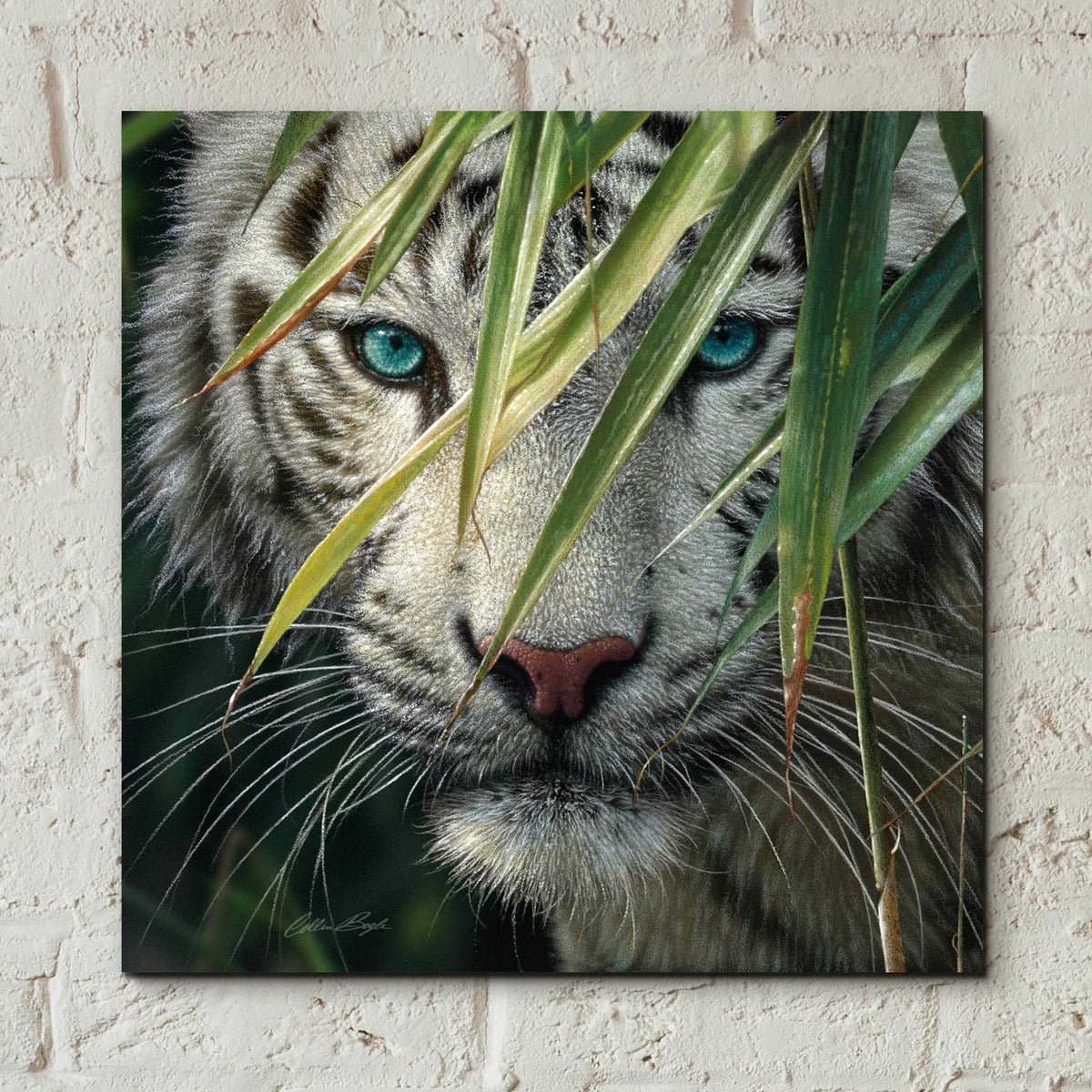 Epic Art 'Watching And Waiting' by Collin Bogle Acrylic Glass Wall Art,12x12