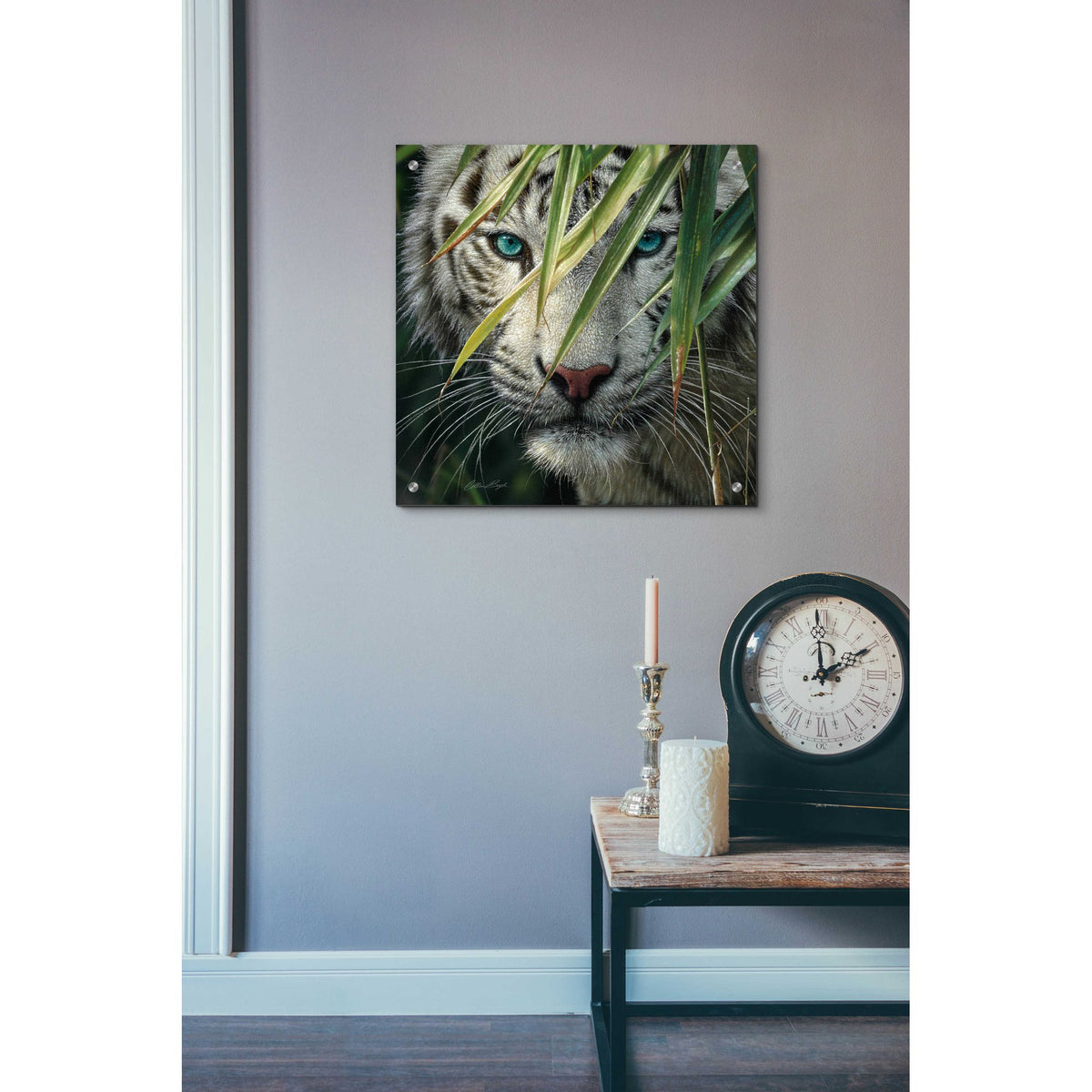Epic Art 'Watching And Waiting' by Collin Bogle Acrylic Glass Wall Art,24x24