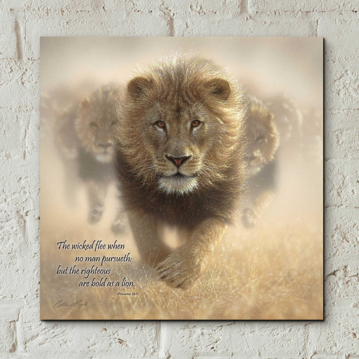 Epic Art 'Wicked Flee' by Collin Bogle Acrylic Glass Wall Art,12x12