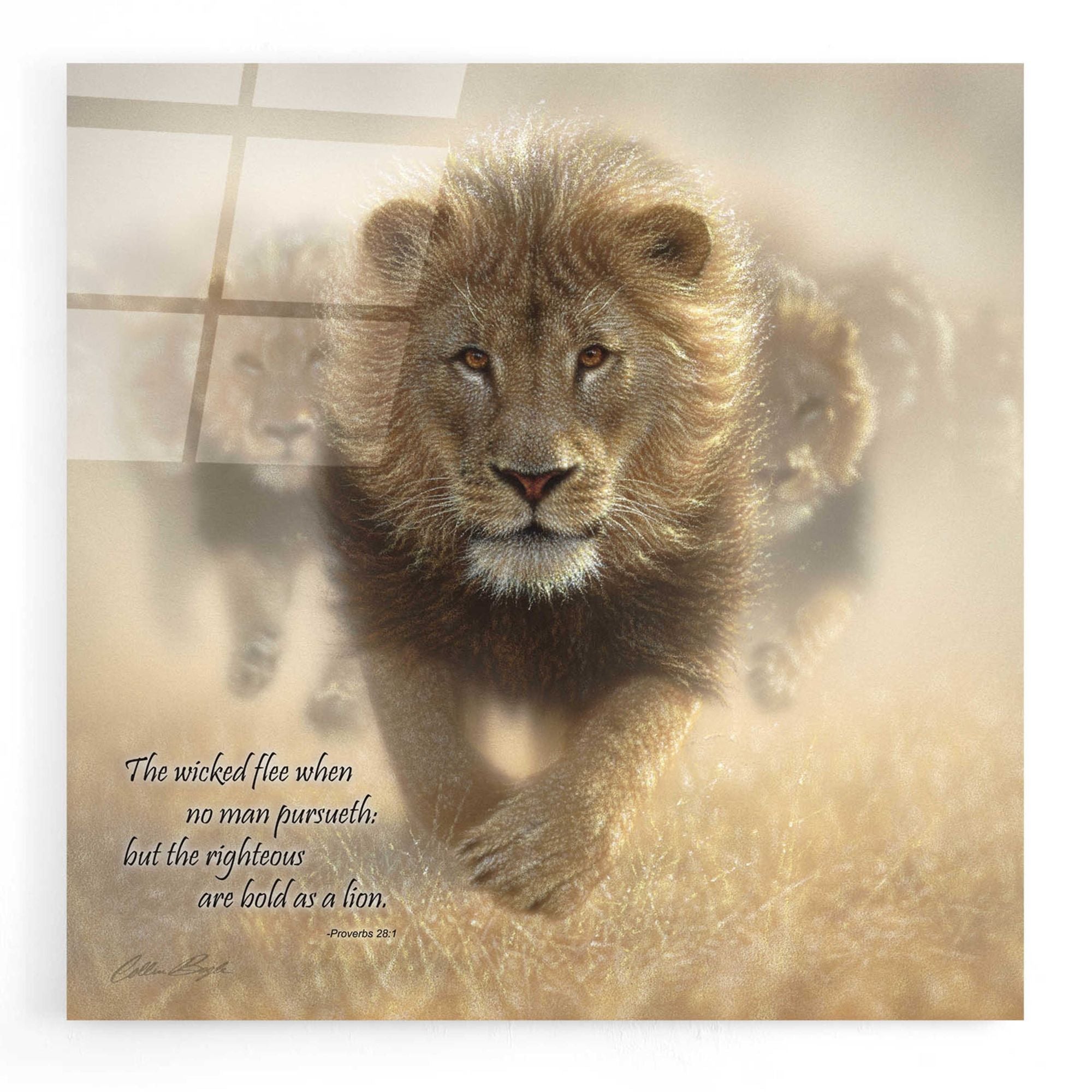 Big Cats – EpicArt.com