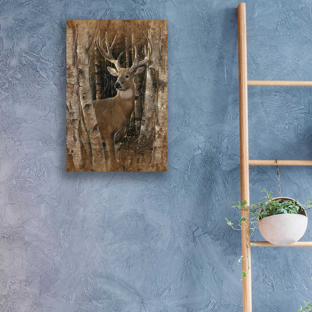 Epic Art 'Birchwood Buck' by Collin Bogle Acrylic Glass Wall Art,16x24