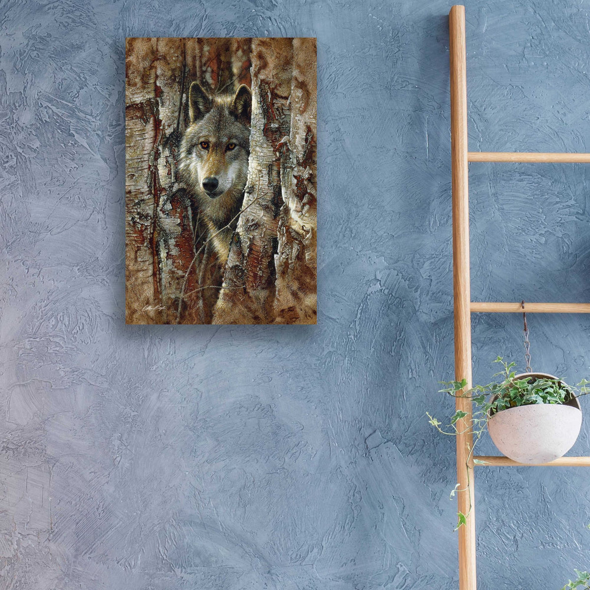 Epic Art 'Wood Land Spirit' by Collin Bogle Acrylic Glass Wall Art,16x24