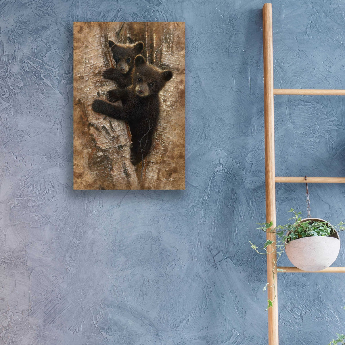 Epic Art 'Curious Cubs' by Collin Bogle Acrylic Glass Wall Art,16x24