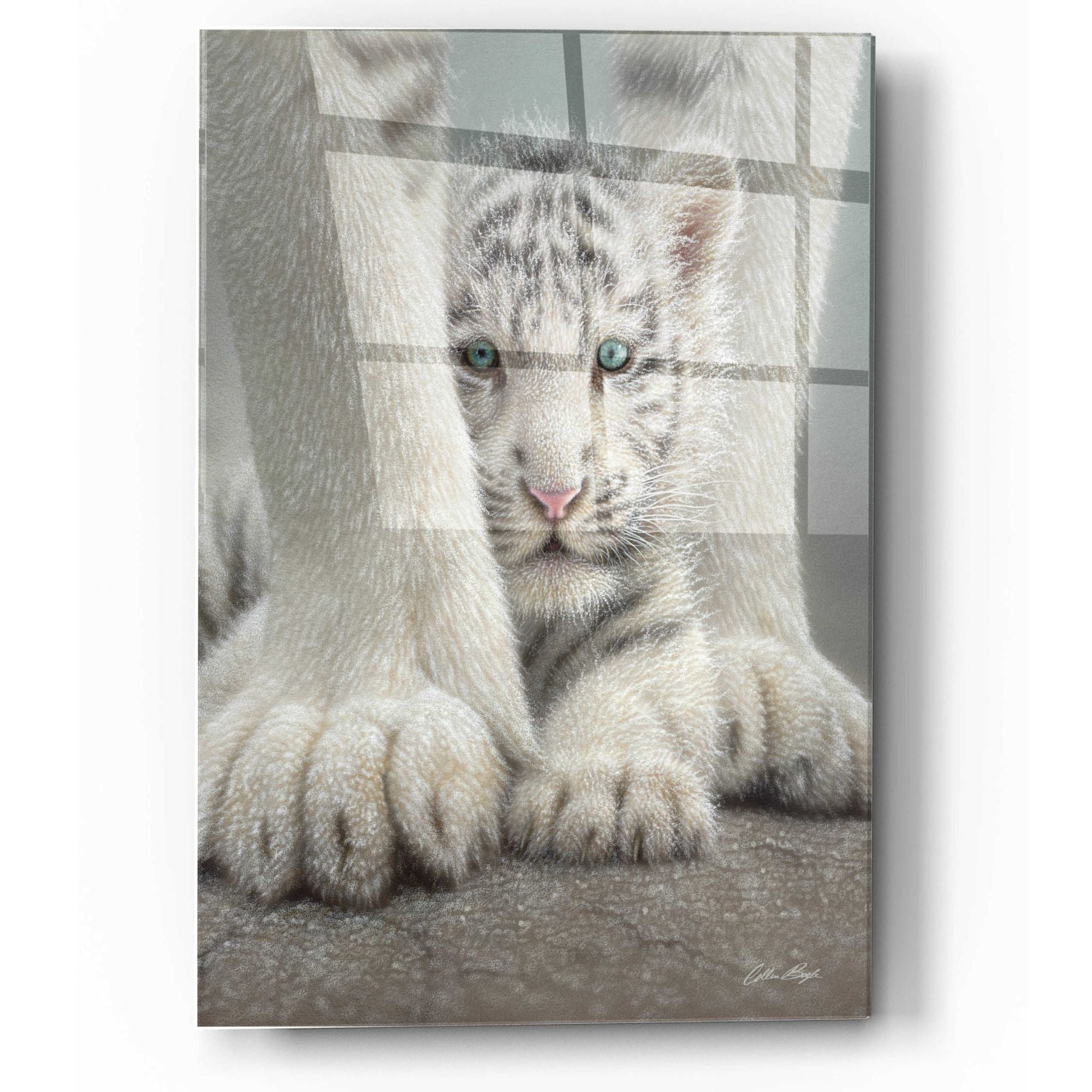 Big Cats – EpicArt.com