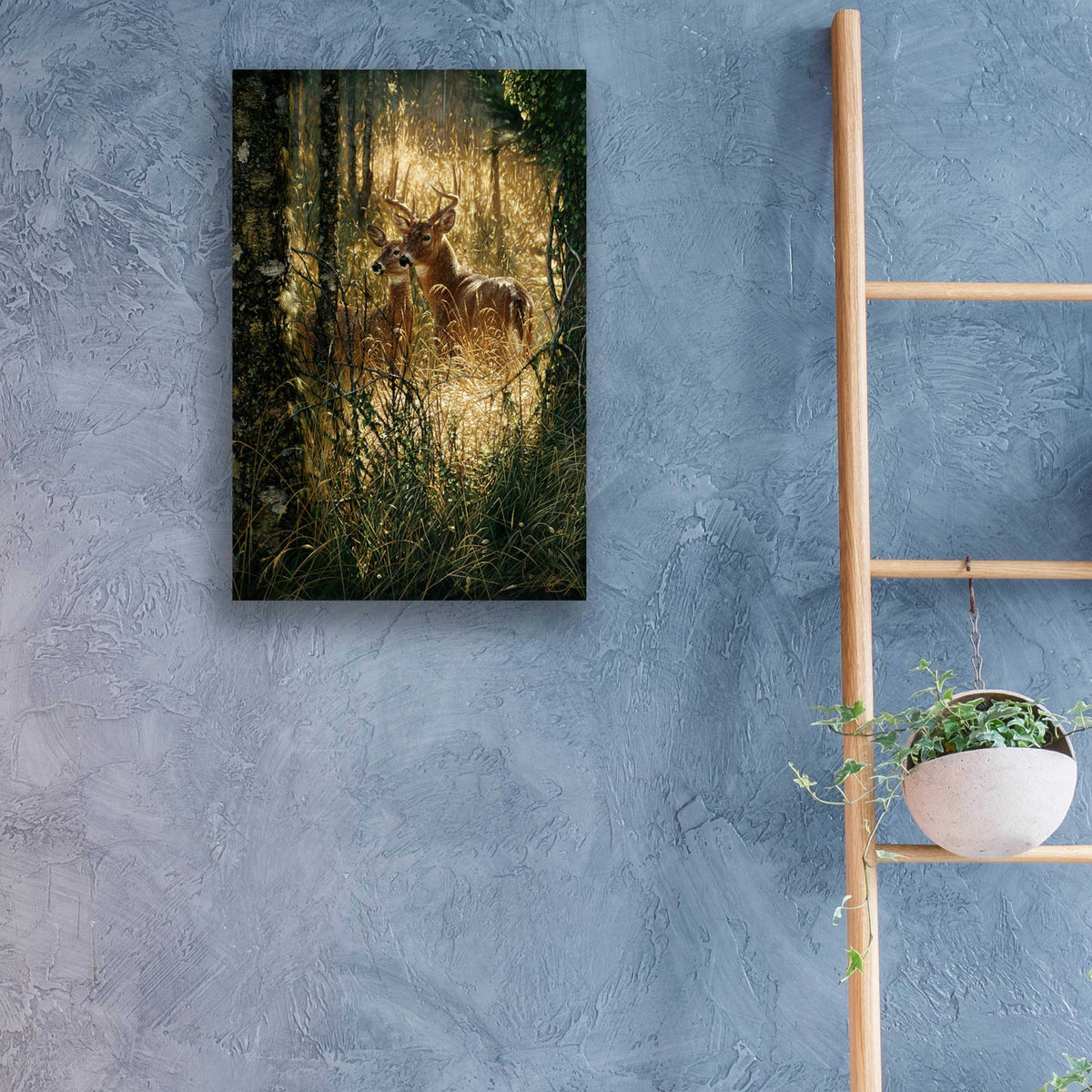 Epic Art 'A Golden Moment' Portrait by Collin Bogle Acrylic Glass Wall Art,16x24