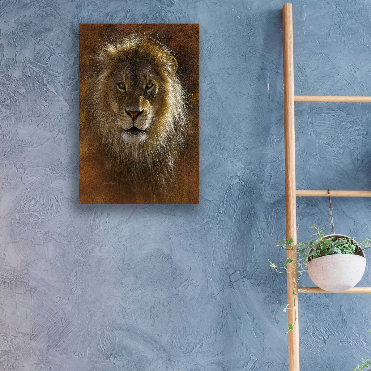 Epic Art 'Face Off' by Collin Bogle Acrylic Glass Wall Art,16x24
