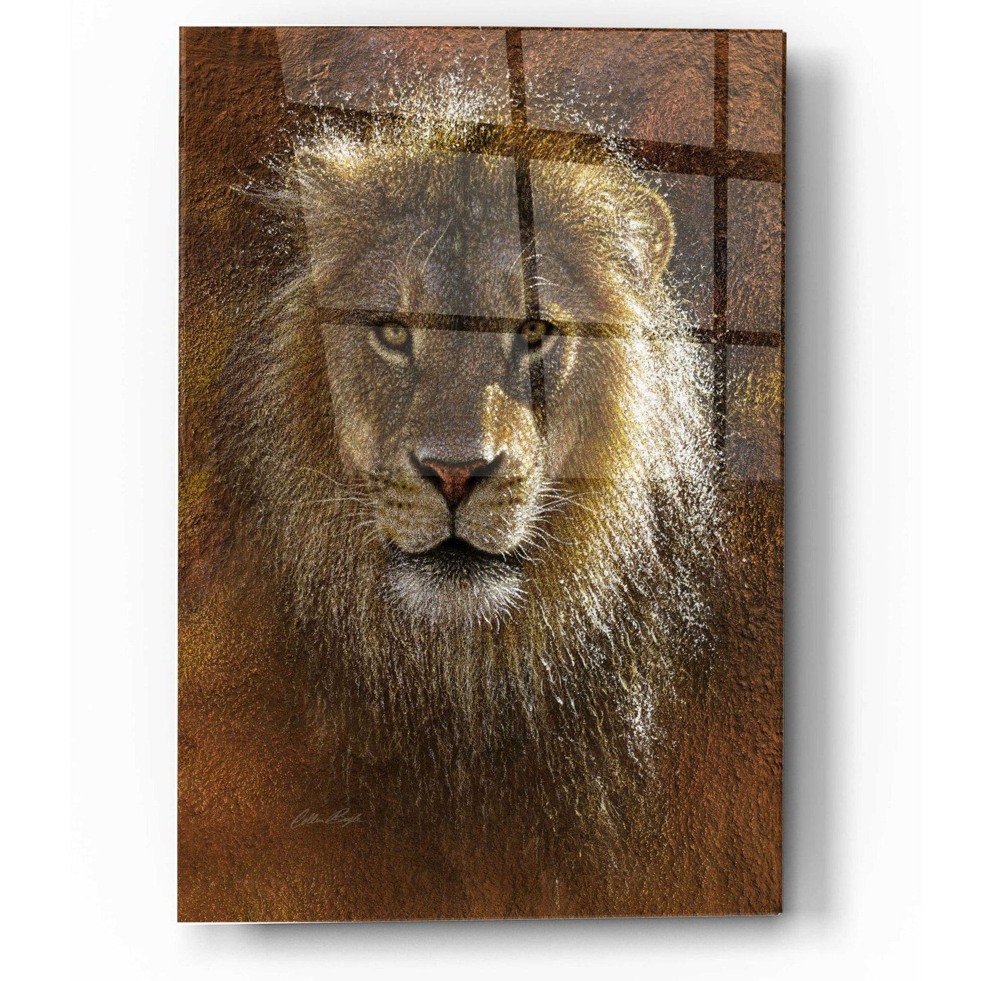 Epic Art 'Face Off' by Collin Bogle Acrylic Glass Wall Art