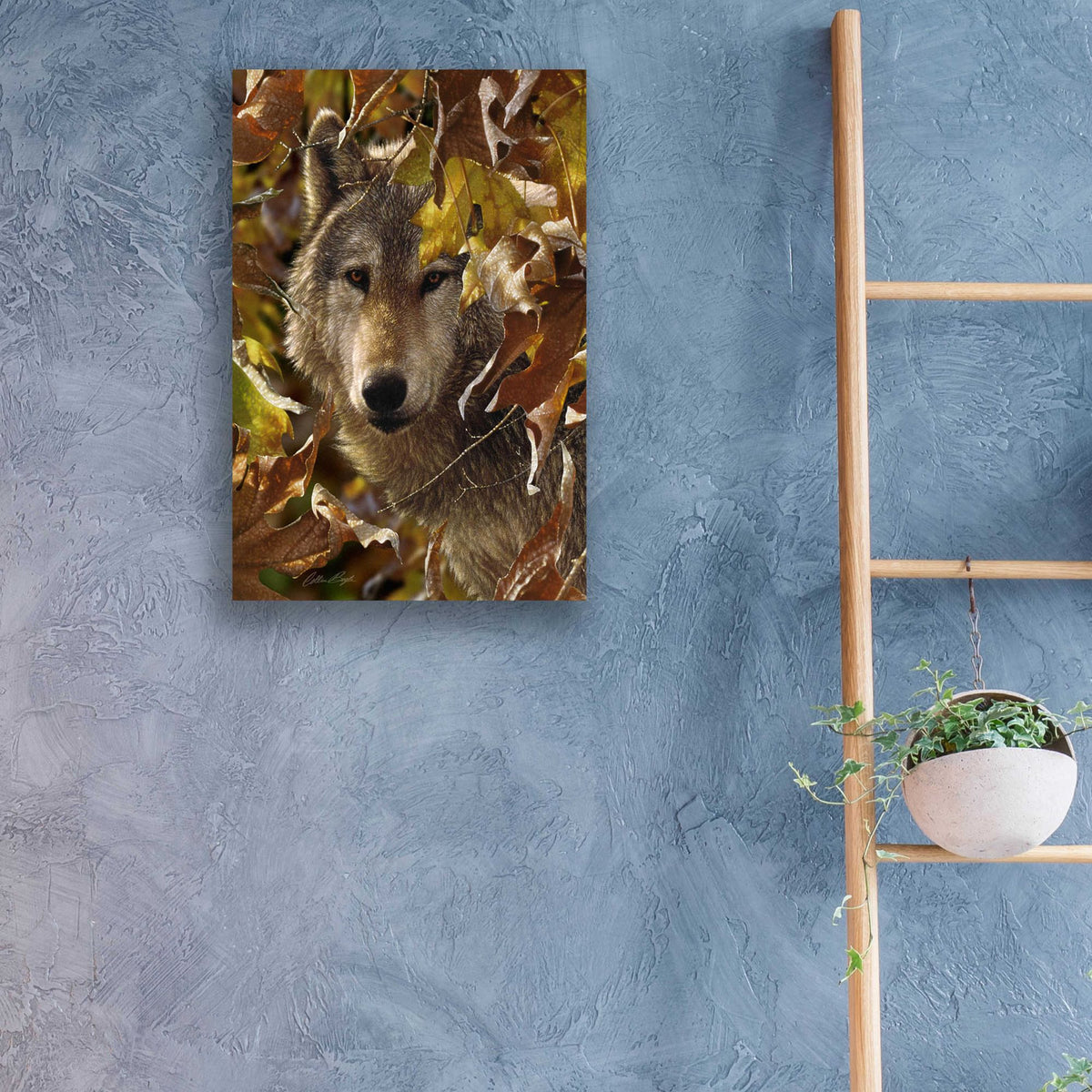 Epic Art 'Autumn Shadows' by Collin Bogle Acrylic Glass Wall Art,16x24