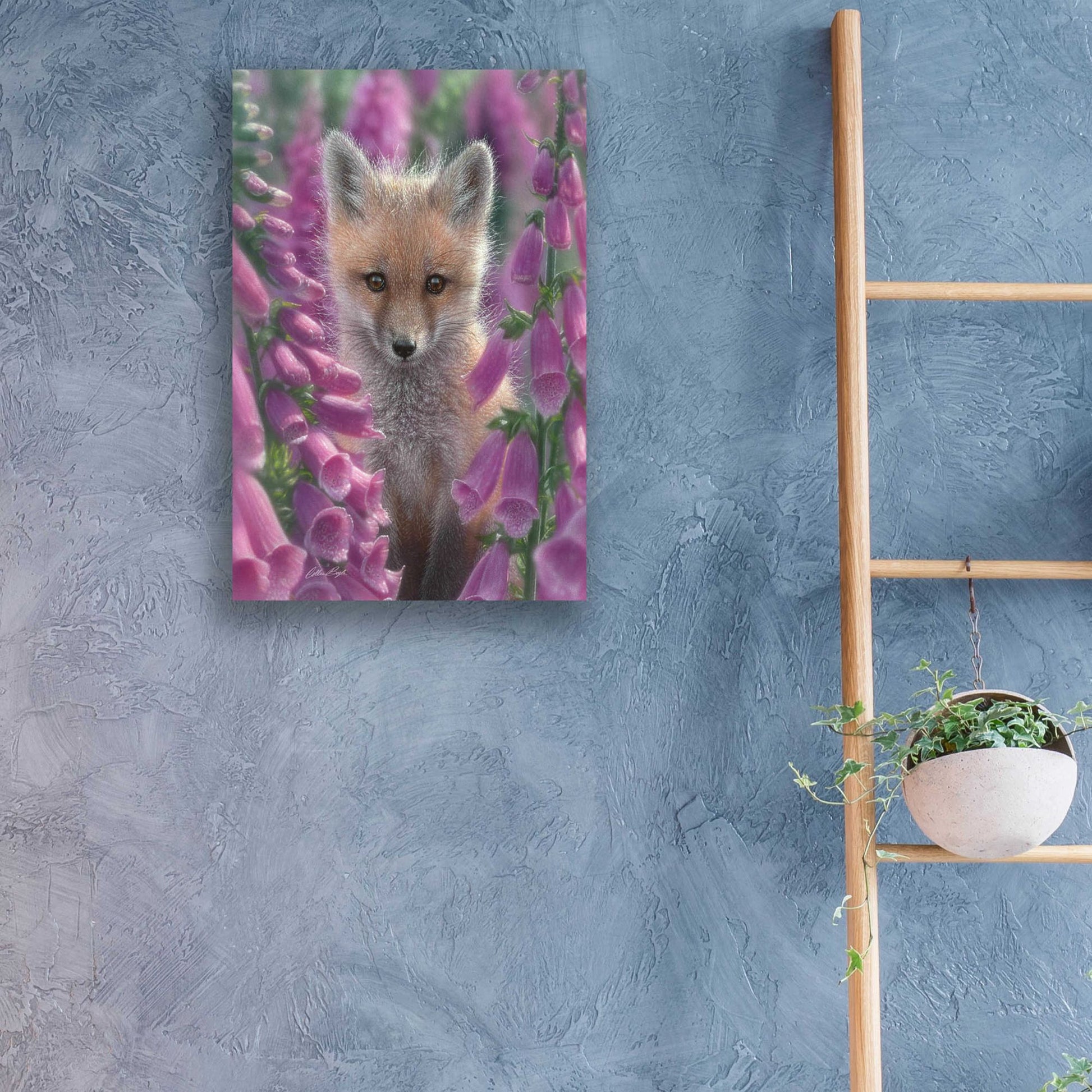 Epic Art 'Fox Gloves' by Collin Bogle Acrylic Glass Wall Art,16x24