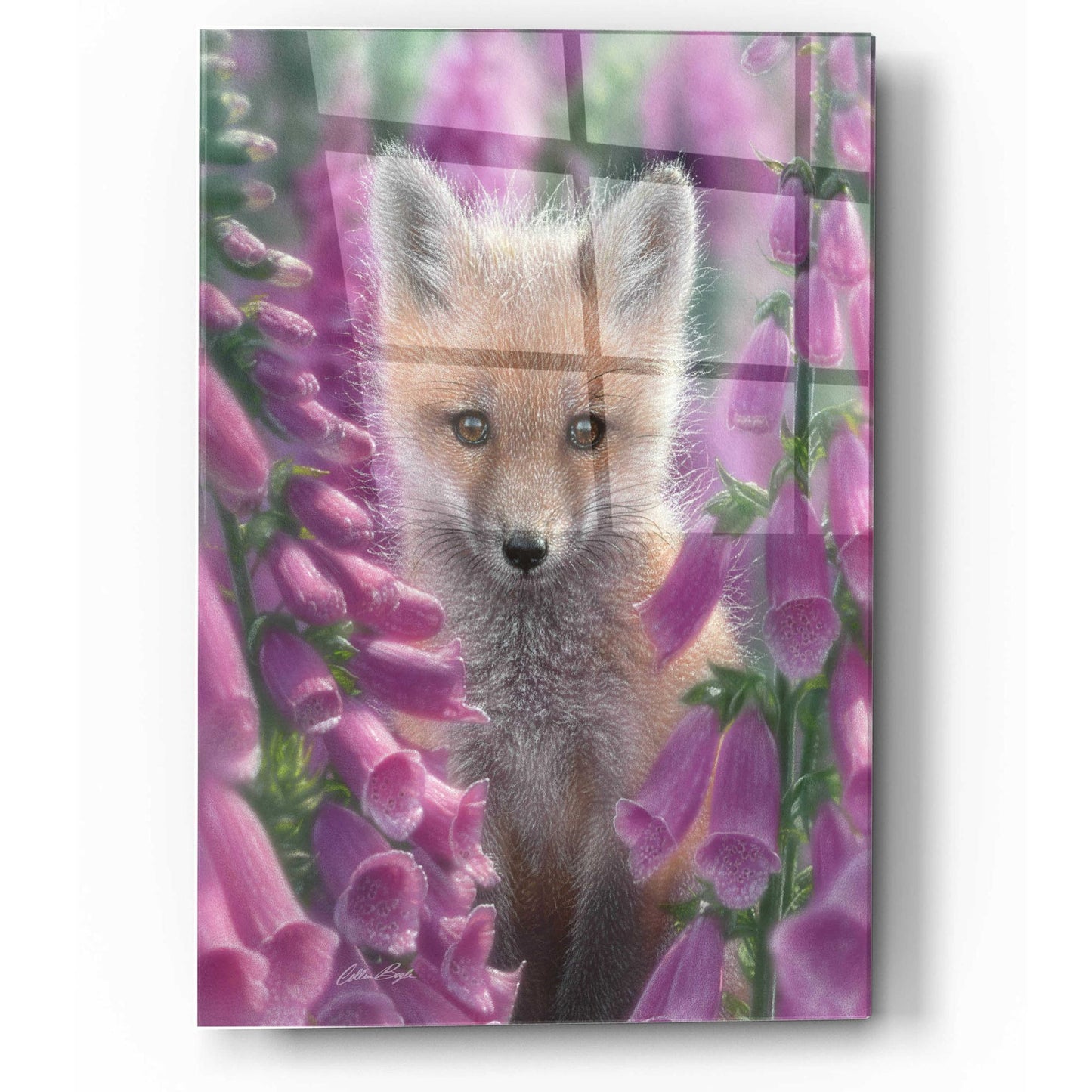 Epic Art 'Fox Gloves' by Collin Bogle Acrylic Glass Wall Art