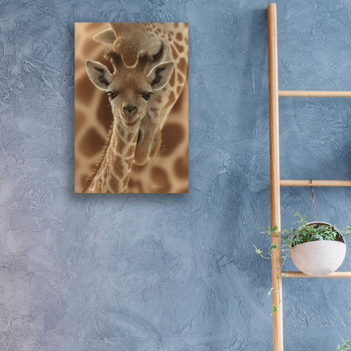 Epic Art 'New Born' by Collin Bogle Acrylic Glass Wall Art,16x24
