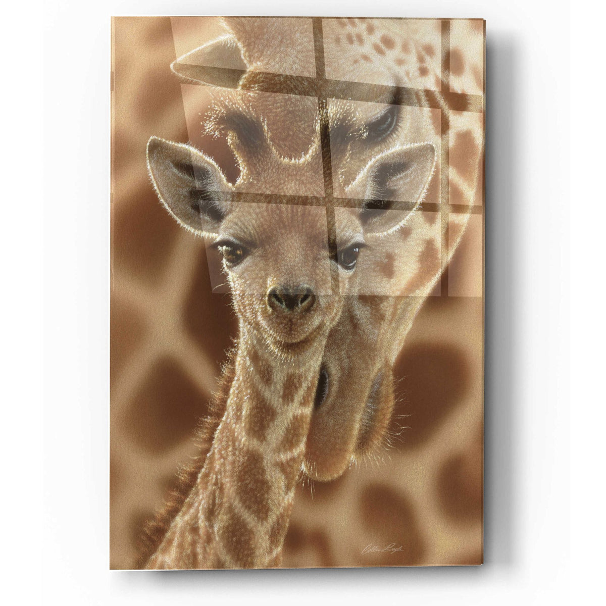 Epic Art 'New Born' by Collin Bogle Acrylic Glass Wall Art