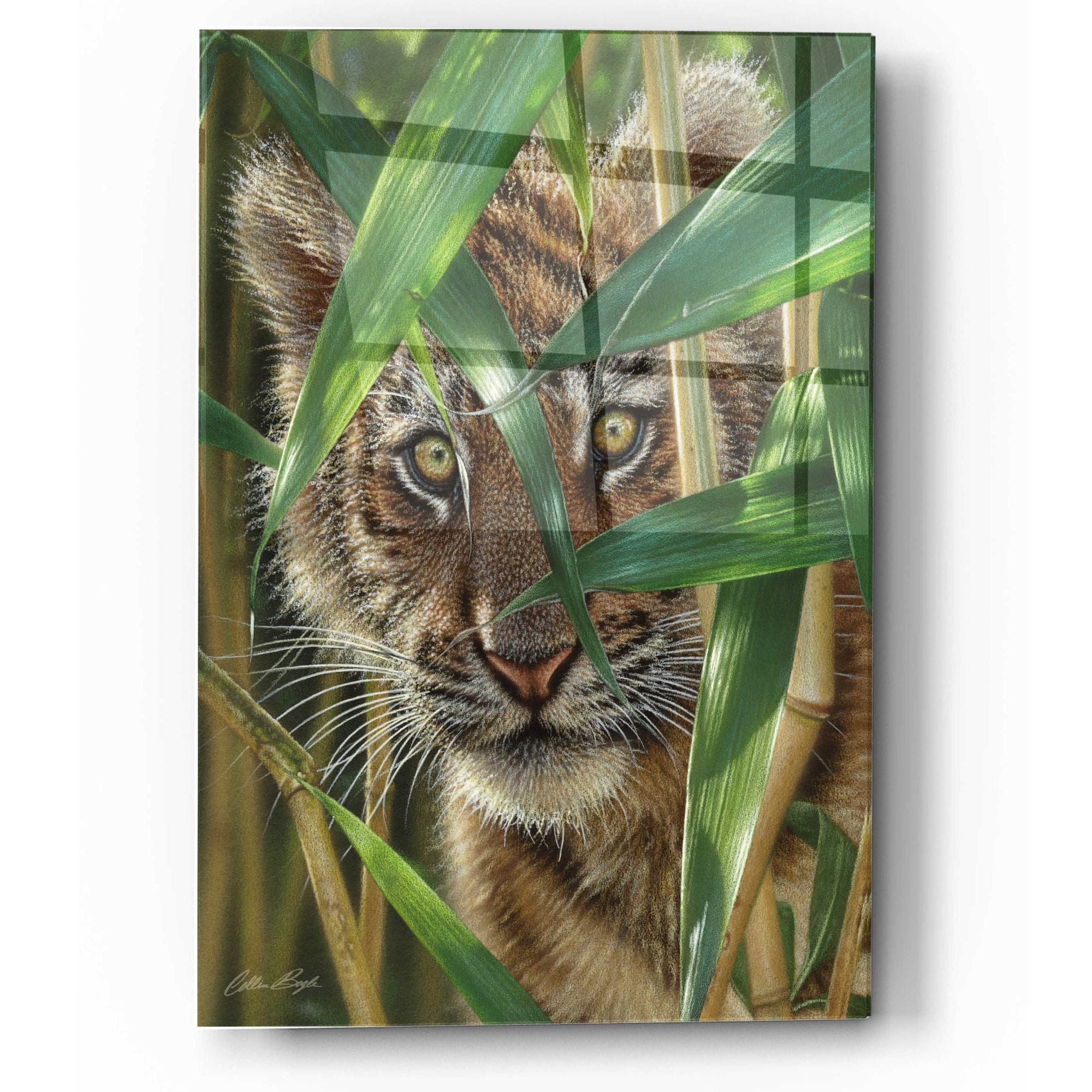 Big Cats – EpicArt.com