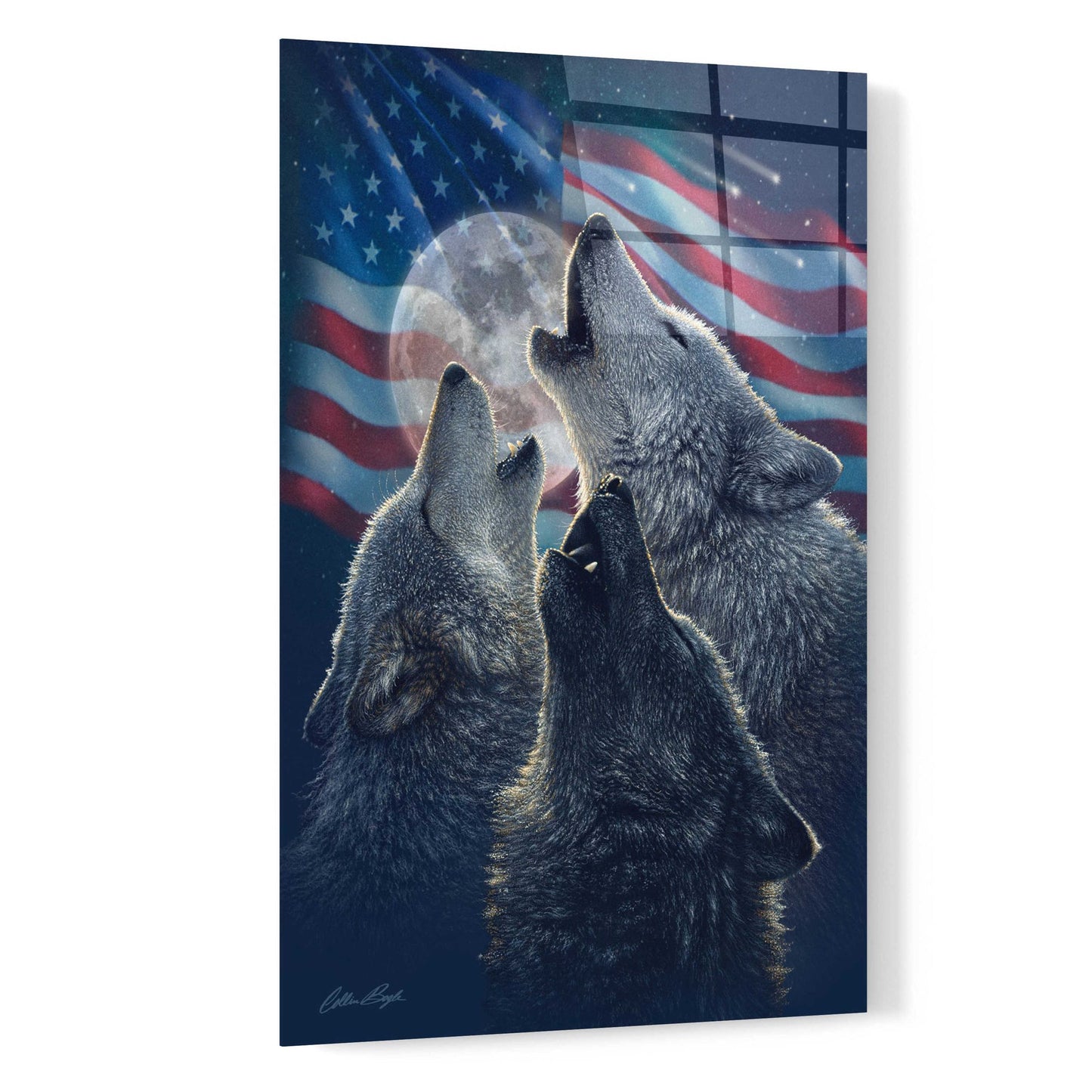 Epic Art 'Wolf Trinity Patriotic' by Collin Bogle Acrylic Glass Wall Art,16x24