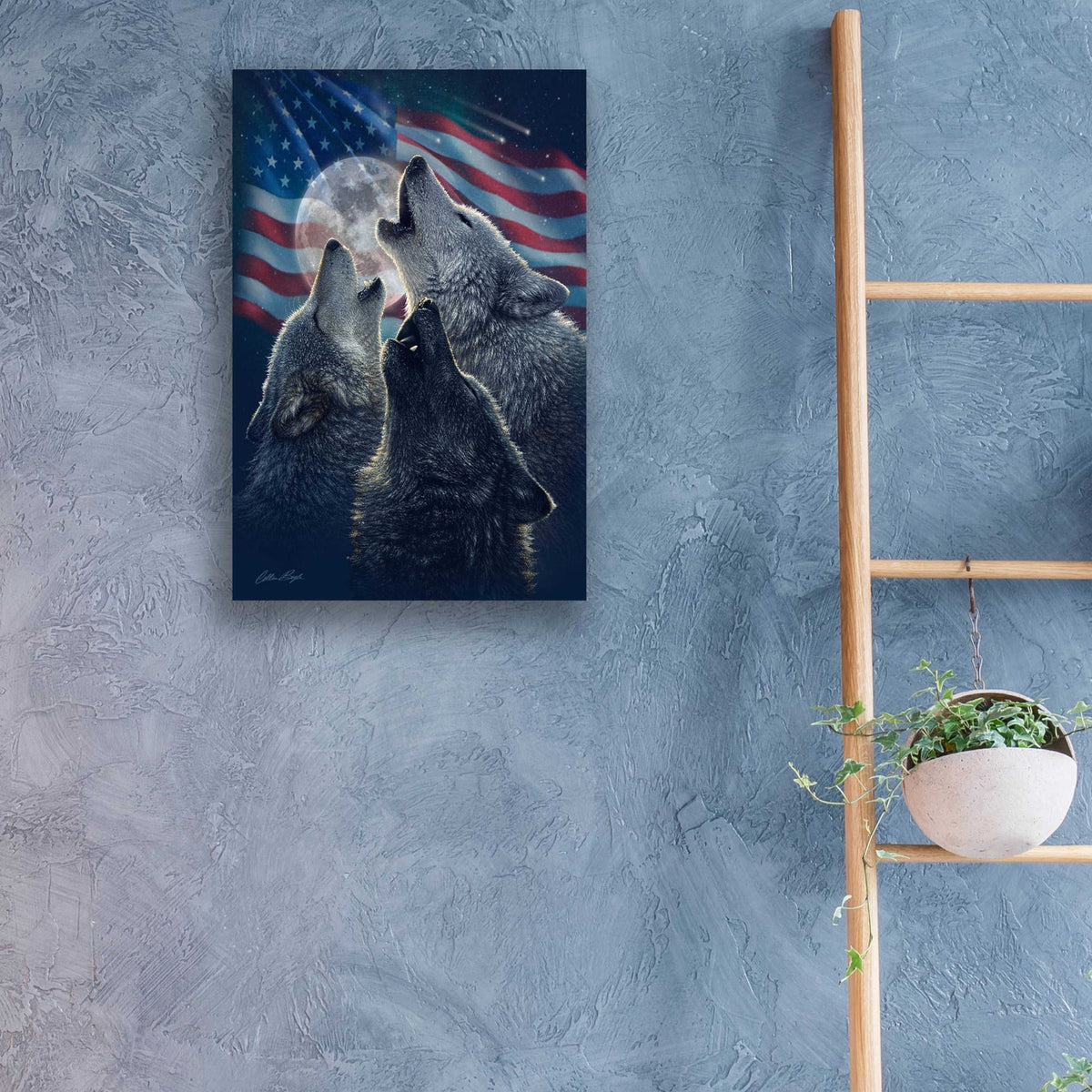 Epic Art 'Wolf Trinity Patriotic' by Collin Bogle Acrylic Glass Wall Art,16x24