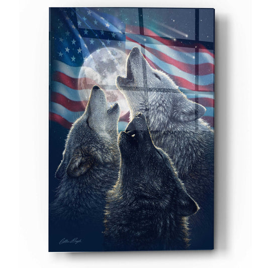Epic Art 'Wolf Trinity Patriotic' by Collin Bogle Acrylic Glass Wall Art
