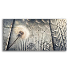 Flying Dandelion Weathered Wood by Rey Klimt acrylic glass wall art