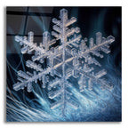 Snowflake 3 by Rey Klimt acrylic glass wall art