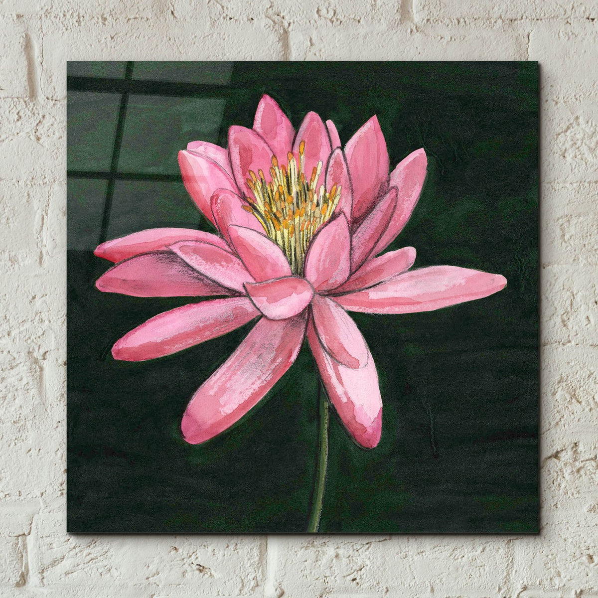 Pink Waterlily 1 by Alicia Longley - 12x12 acrylic wall art in a room
