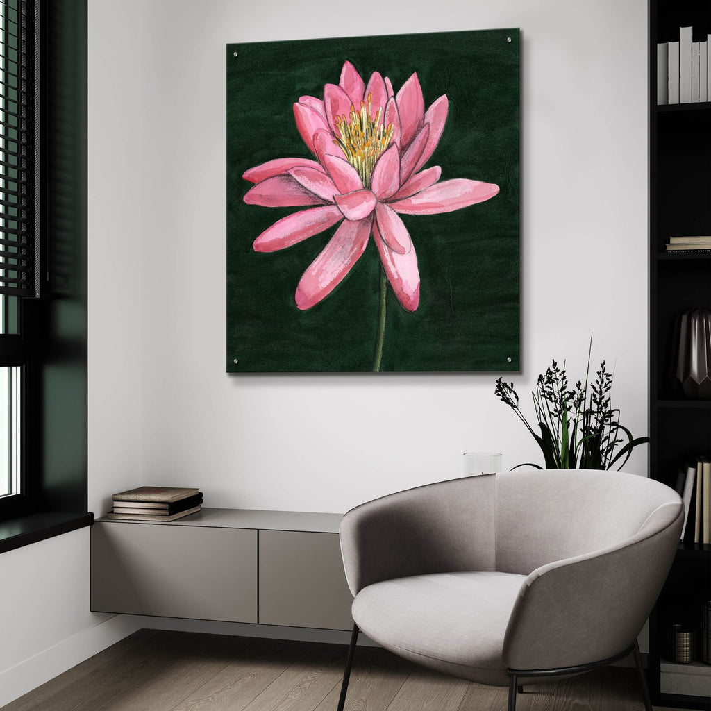 Pink Waterlily 1 by Alicia Longley - 36x36 acrylic wall art in a room