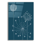 Graphic Alliums 1 by Alicia Longley acrylic glass wall art