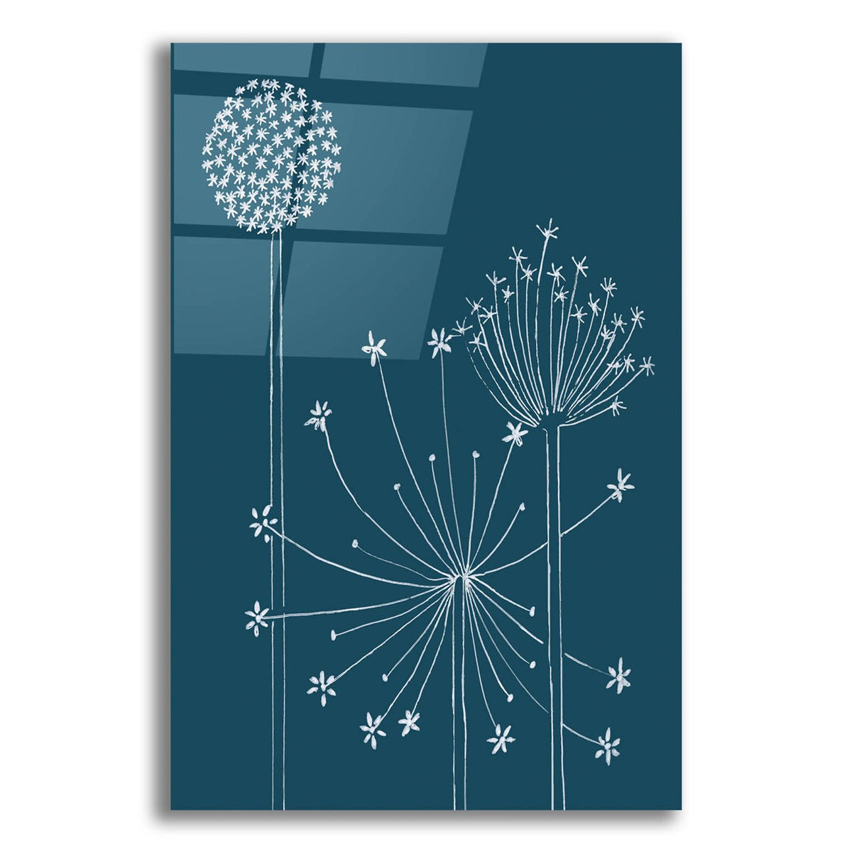 Graphic Alliums 1 by Alicia Longley acrylic glass wall art