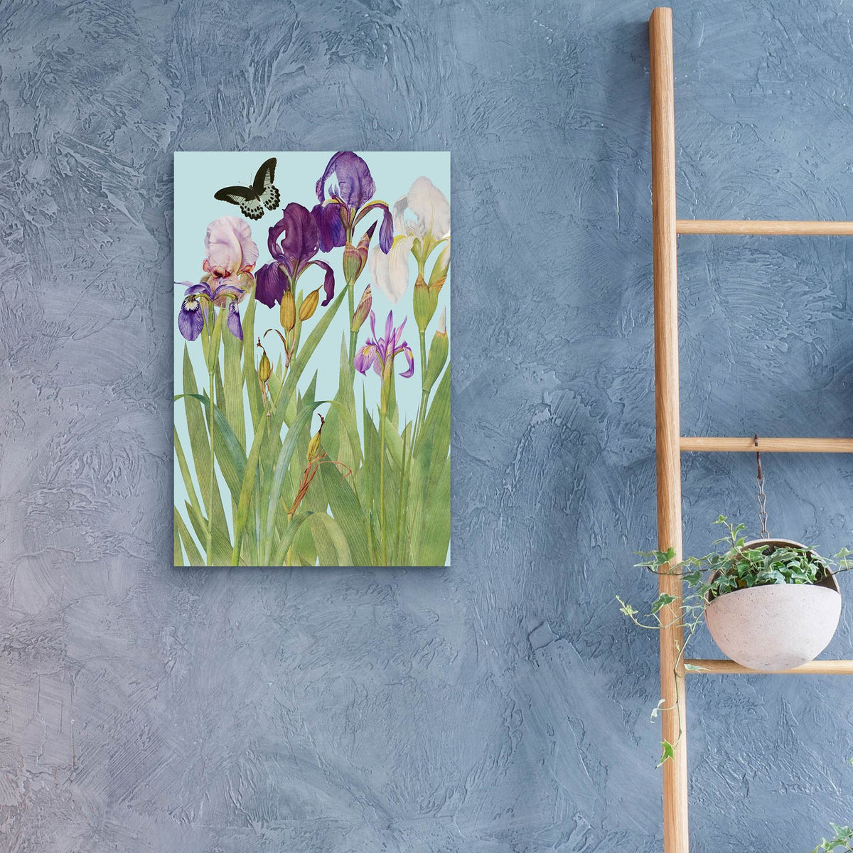 Iris Fantasy 1 by Alicia Longley - 16x24 acrylic wall art in a room