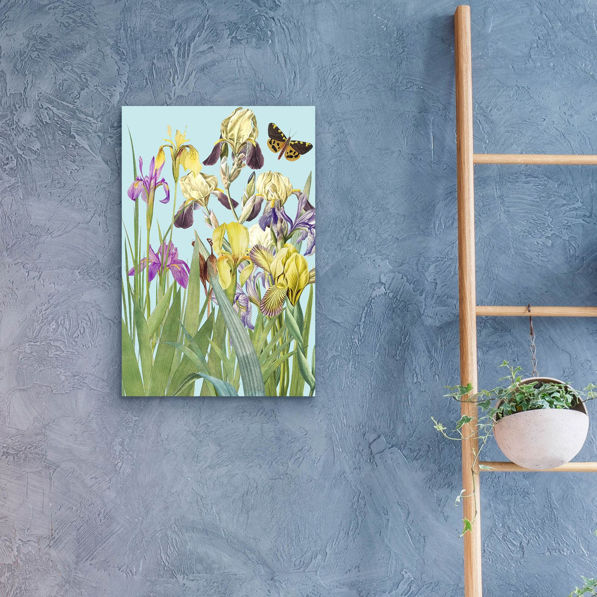 Iris Fantasy 2 by Alicia Longley - 16x24 acrylic wall art in a room