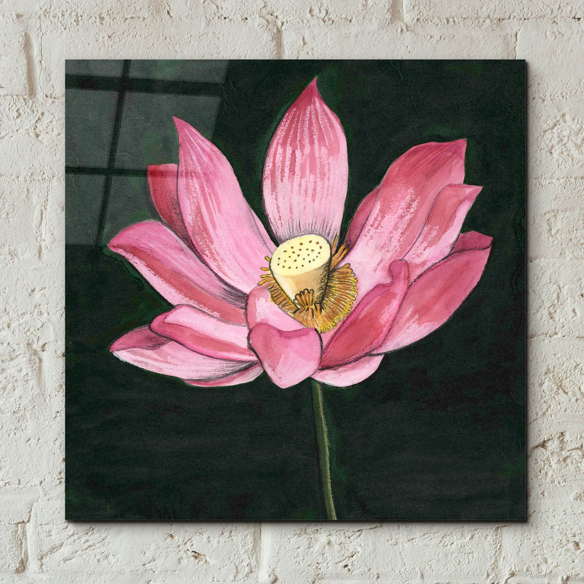 Pink Waterlily 2 by Alicia Longley - 12x12 acrylic wall art in a room