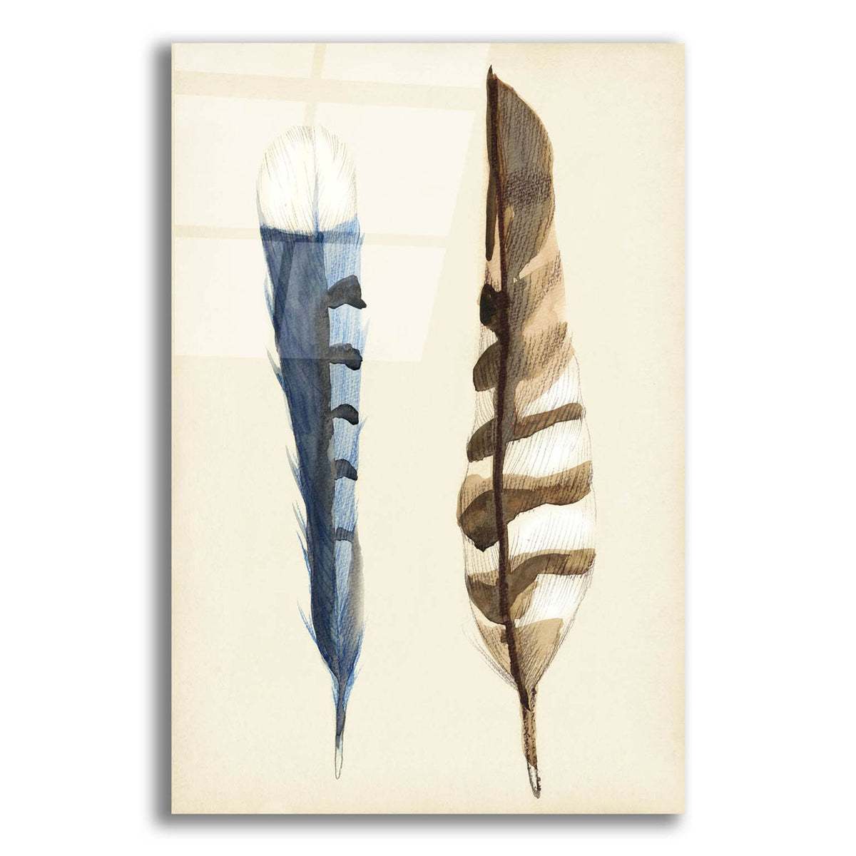 Plumage 3 by Alicia Ludwig acrylic glass wall art