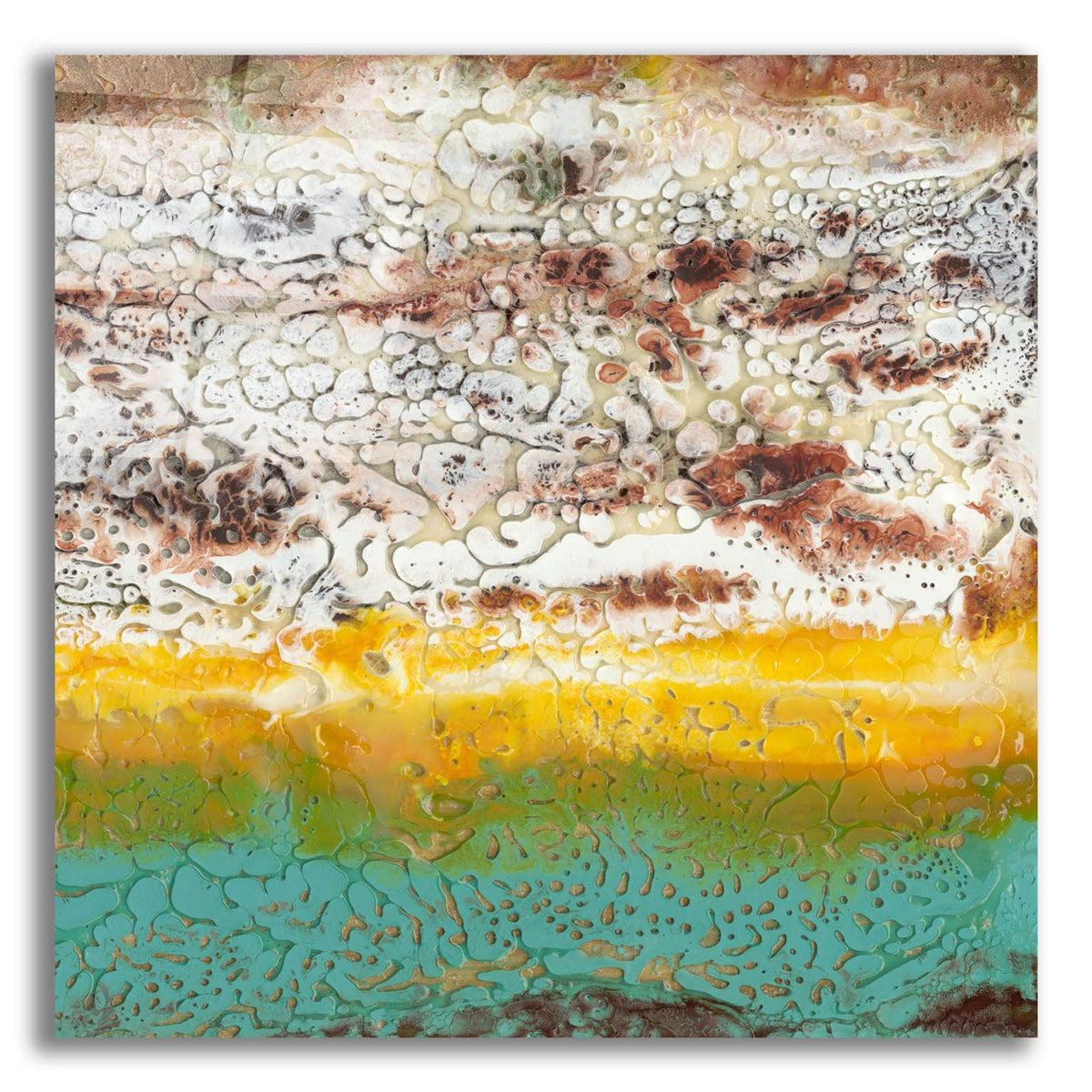 Arid 2 by Alicia Ludwig acrylic glass wall art