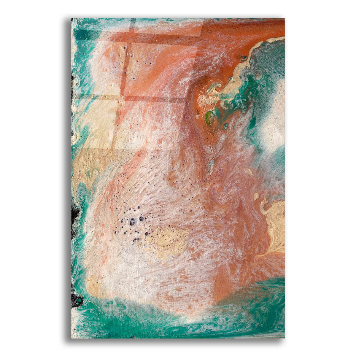 Coralline 1 by Alicia Ludwig acrylic glass wall art