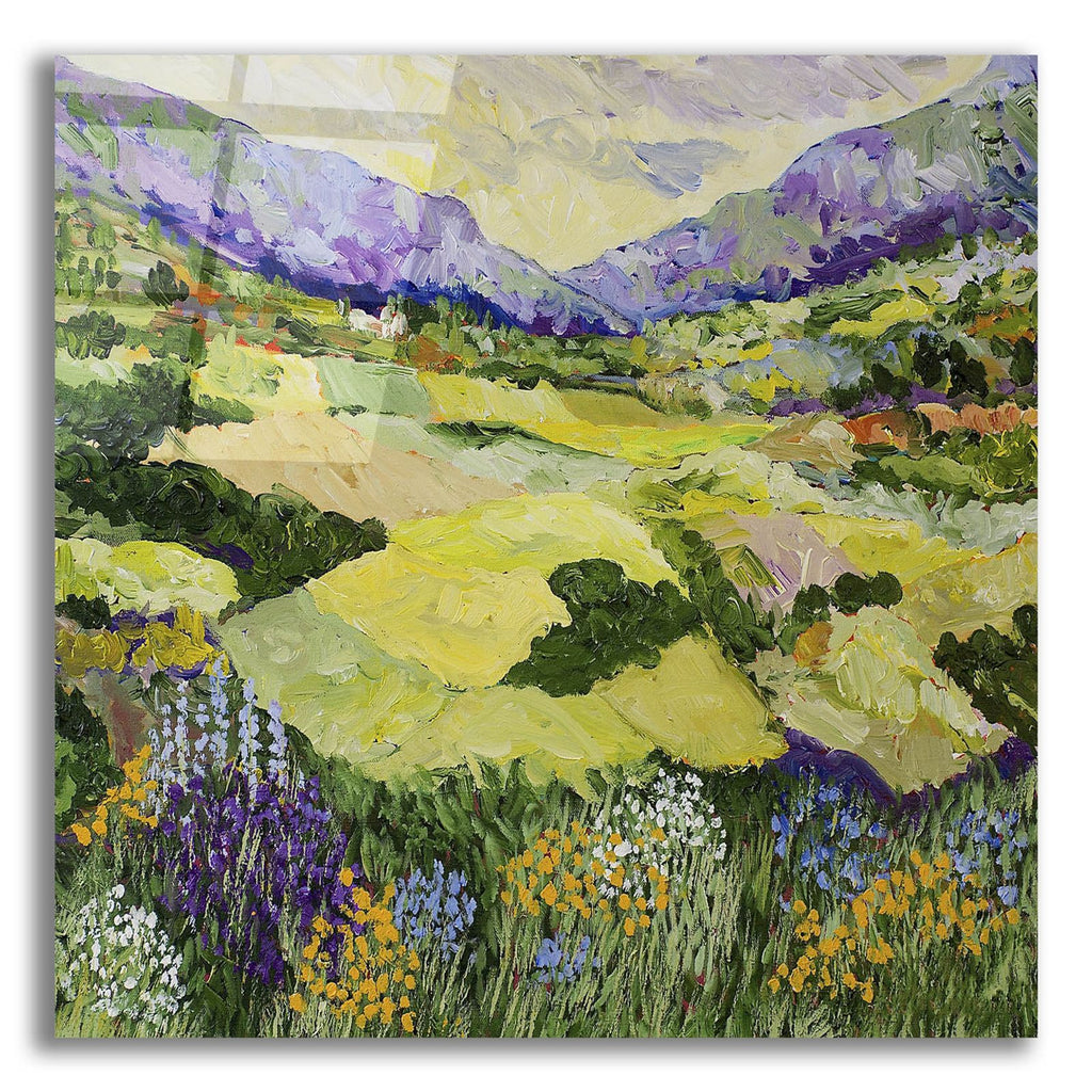 Cool Grass by Allan Friedlander acrylic glass wall art