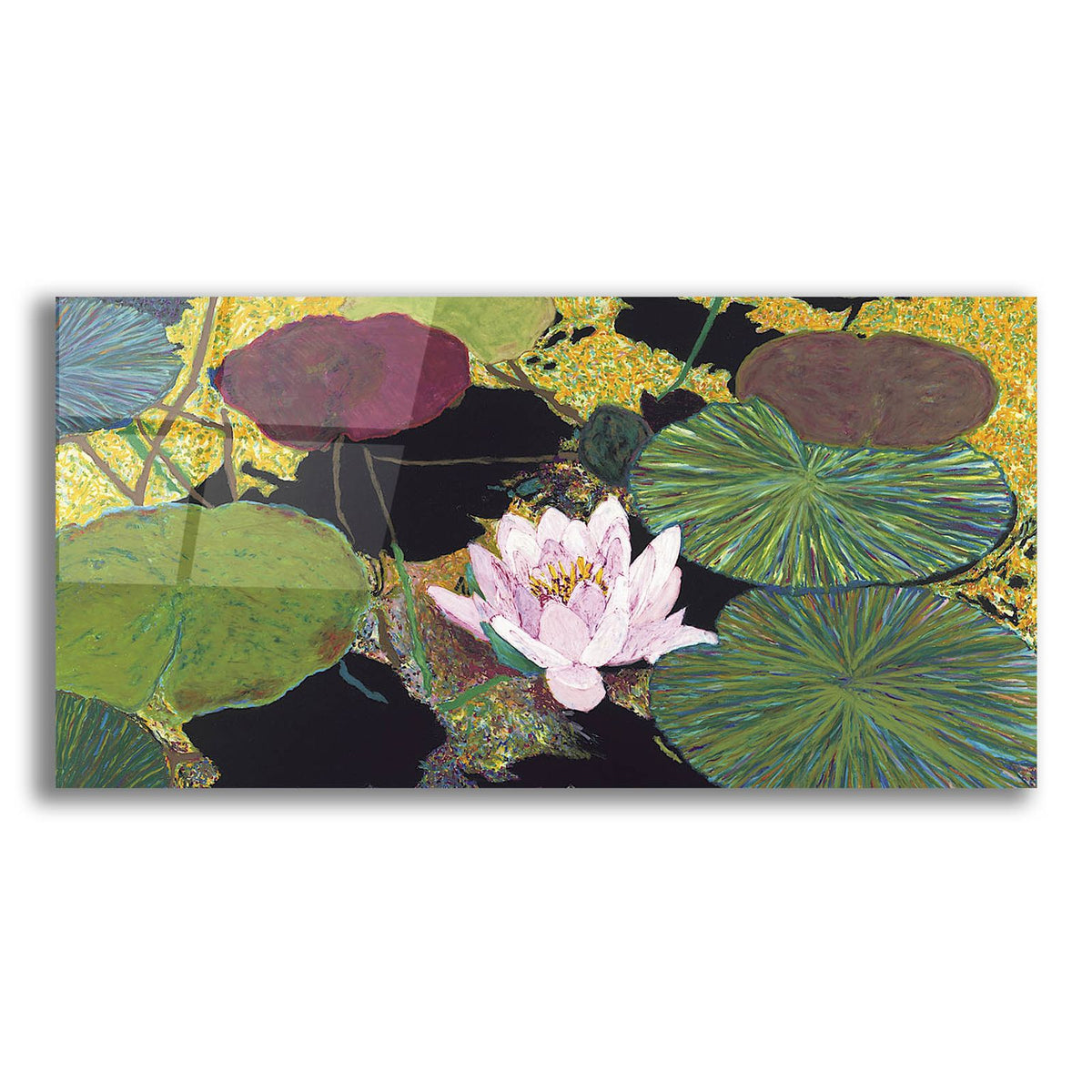 Steamy Pond by Allan Friedlander acrylic glass wall art