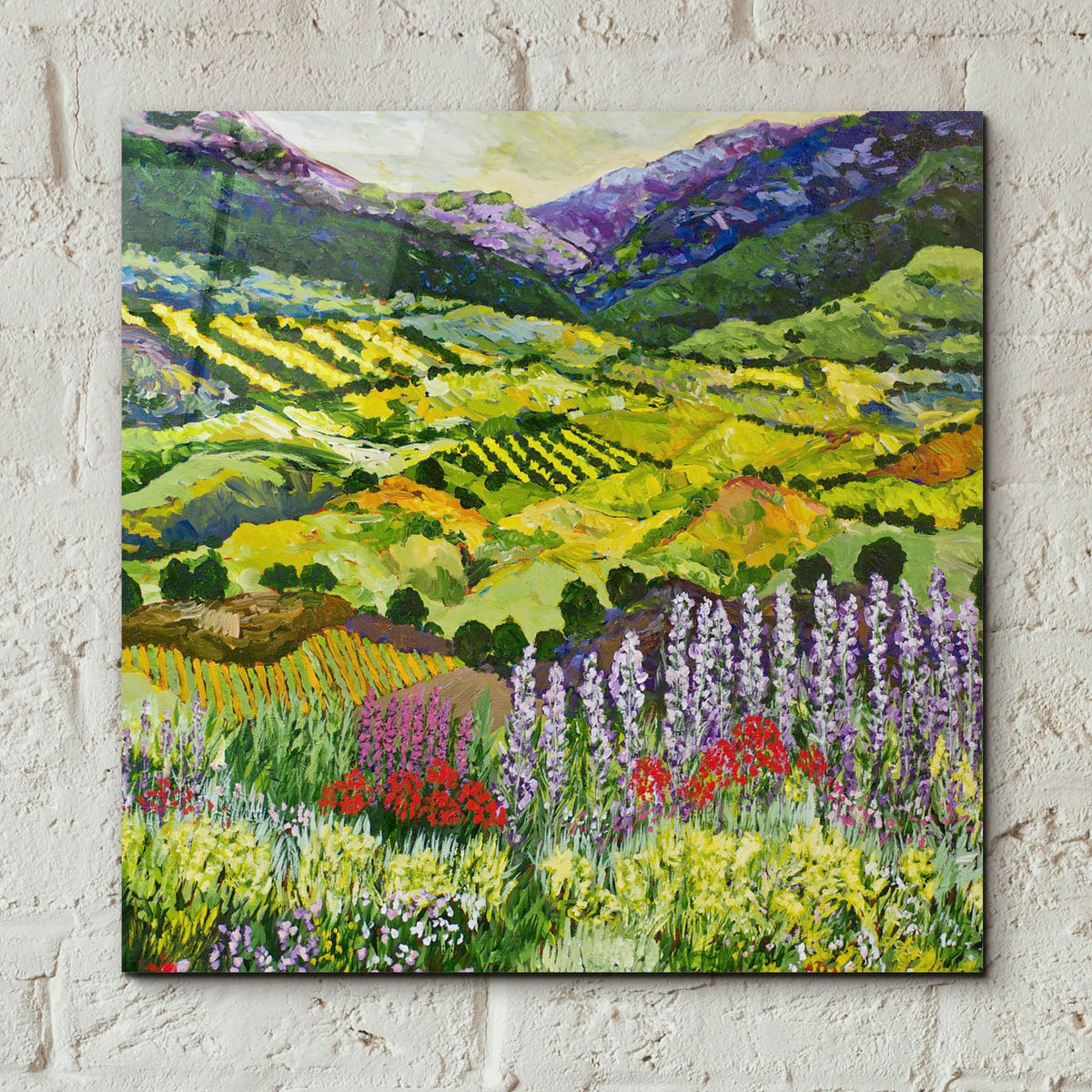 Where Flowers Bloom by Allan Friedlander - 12x12 acrylic wall art in a room
