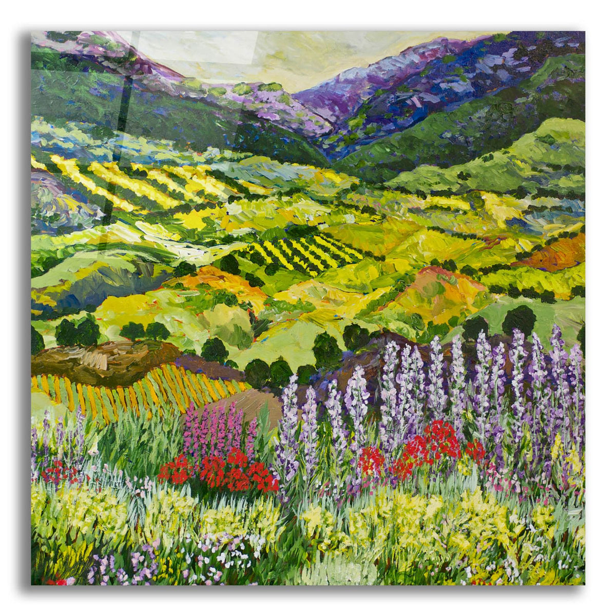Where Flowers Bloom by Allan Friedlander acrylic glass wall art