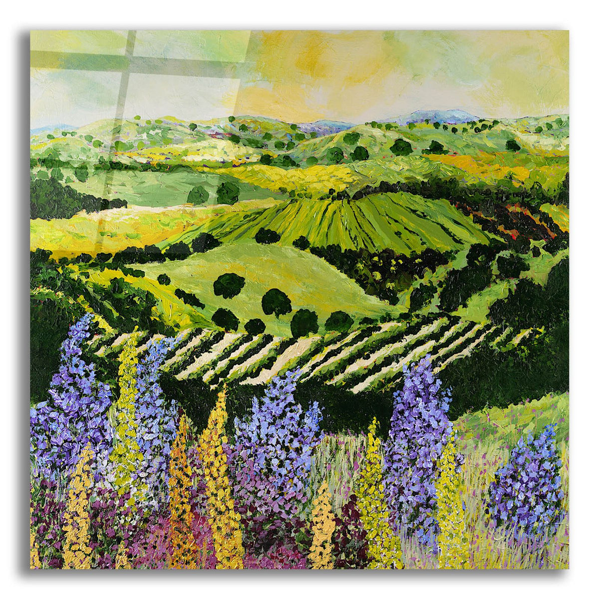 Wildflower Ridge by Allan Friedlander acrylic glass wall art