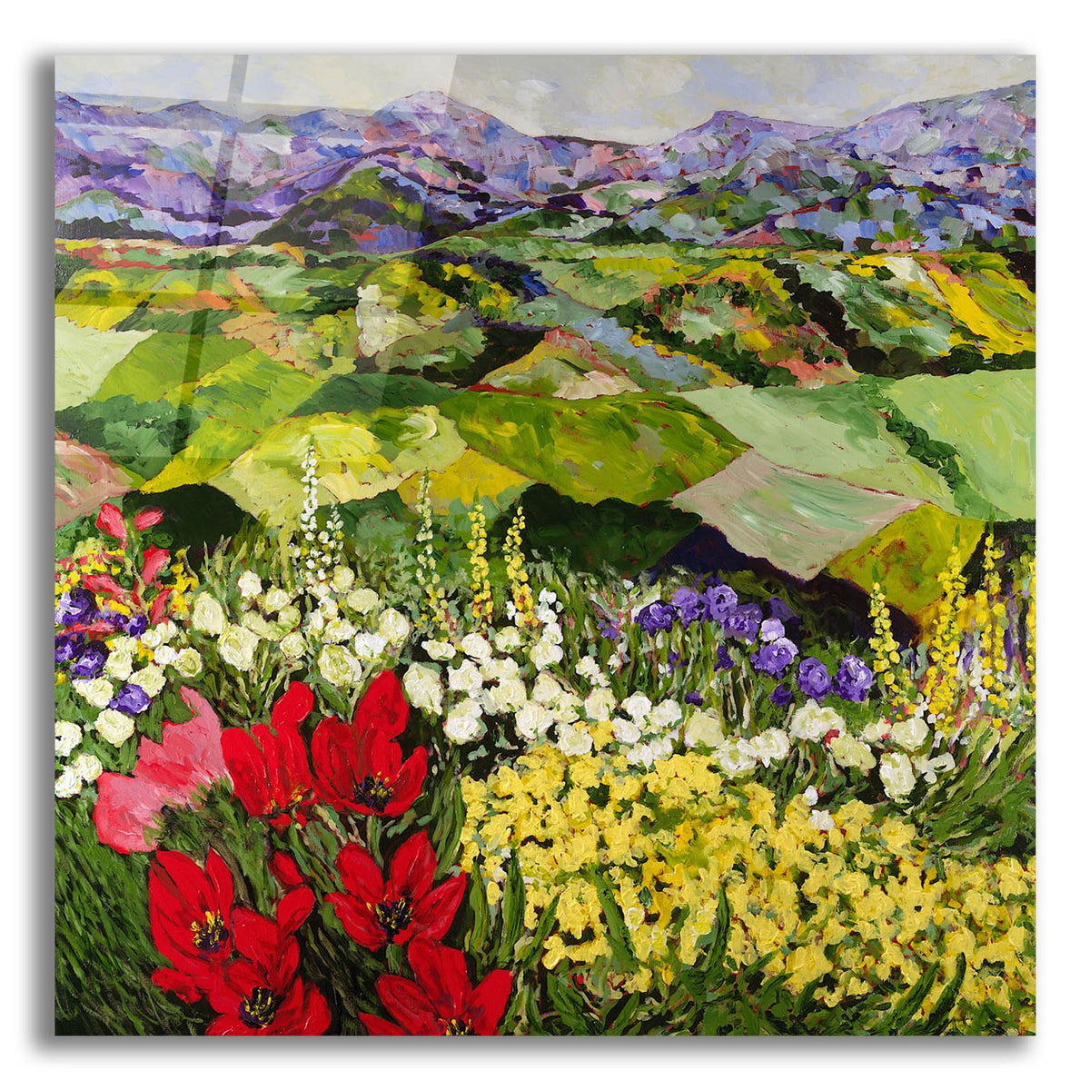 High Mountain Patch by Allan Friedlander acrylic glass wall art