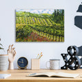 Mountain Vineyard by Allan Friedlander - 16x12 acrylic wall art in a room