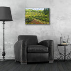 Mountain Vineyard by Allan Friedlander - 24x16 acrylic wall art in a room
